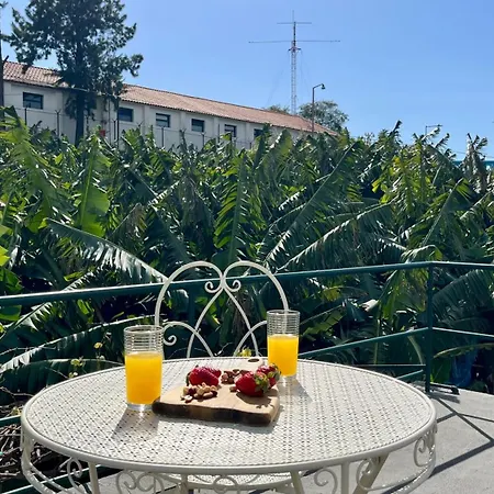 Rosalita S View * Funchal (Madeira)