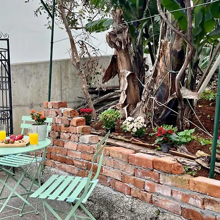 Rosalita S View Semesterbostad Funchal (Madeira)